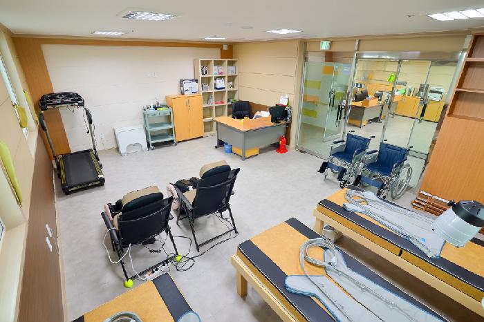 뿌리깊은나무 이미지 17