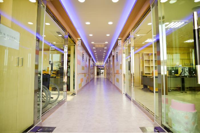 뿌리깊은나무 이미지 6