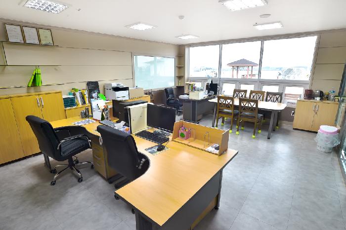 뿌리깊은나무 이미지 5