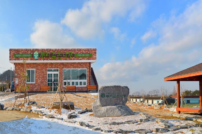 뿌리깊은나무 이미지 3