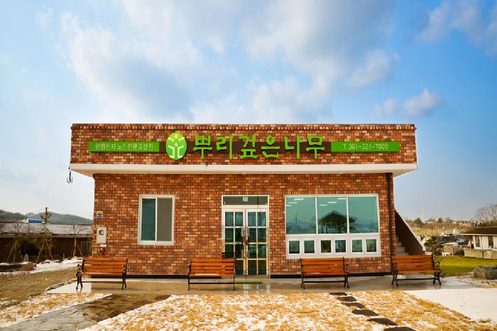 뿌리깊은나무 이미지 2