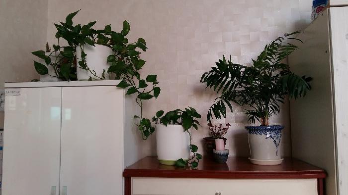 어울림노인요양센터 이미지 18