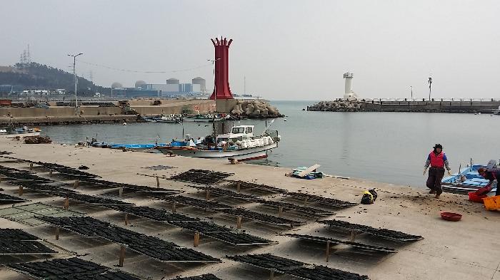 다인요양원 이미지 2