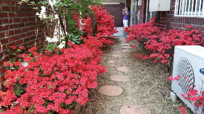 녹번실버 이미지 2