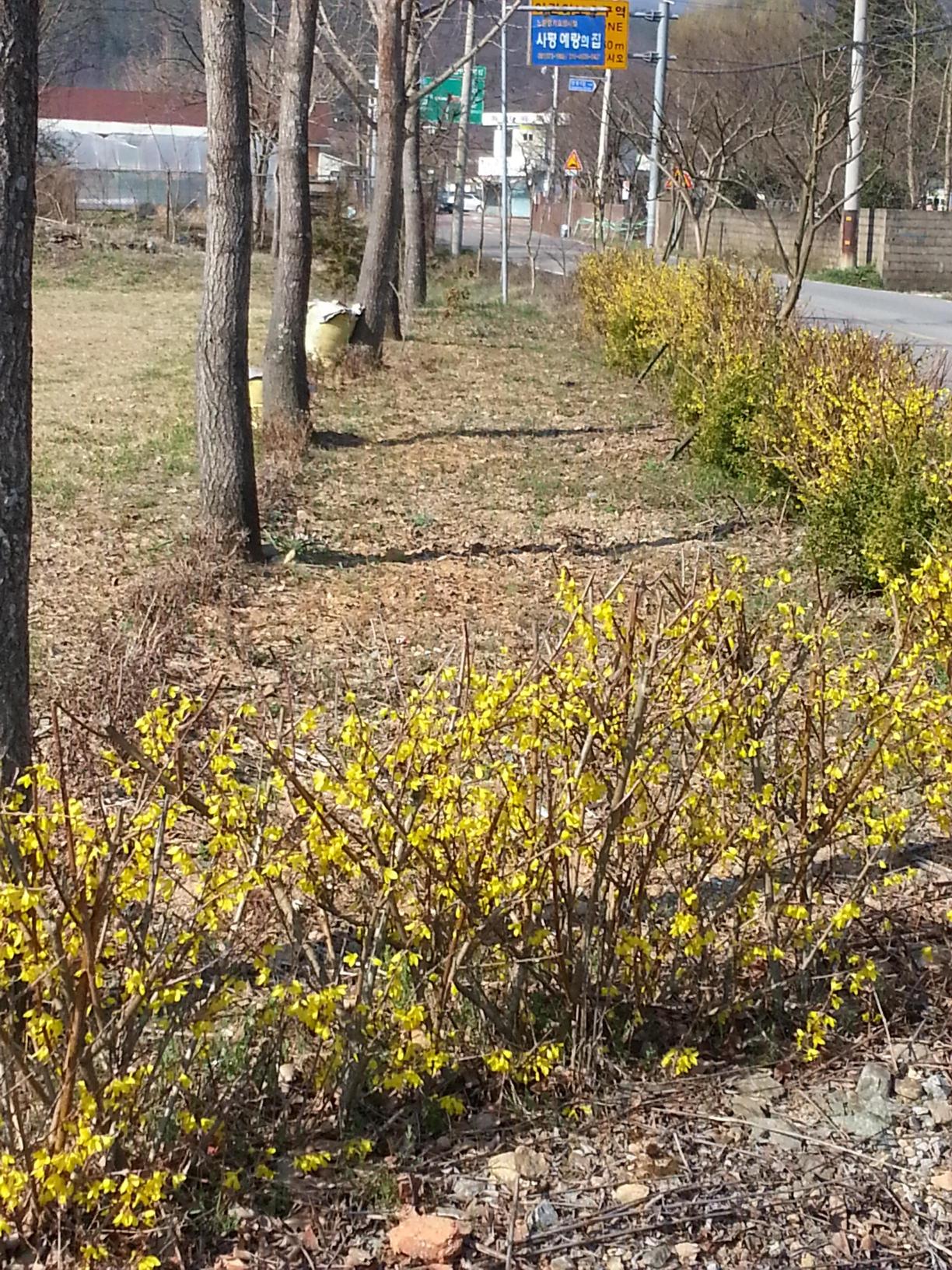 사평예랑의집 이미지 3