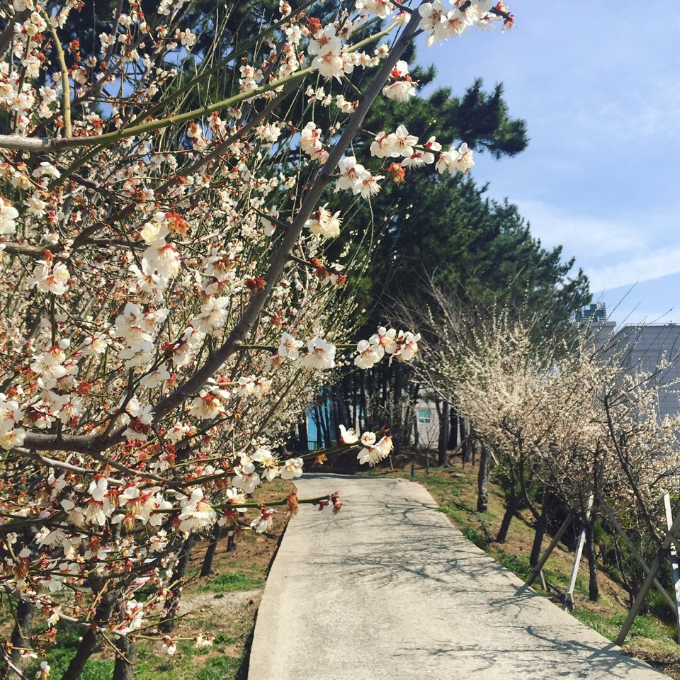 노인요양원 솔향 이미지 9