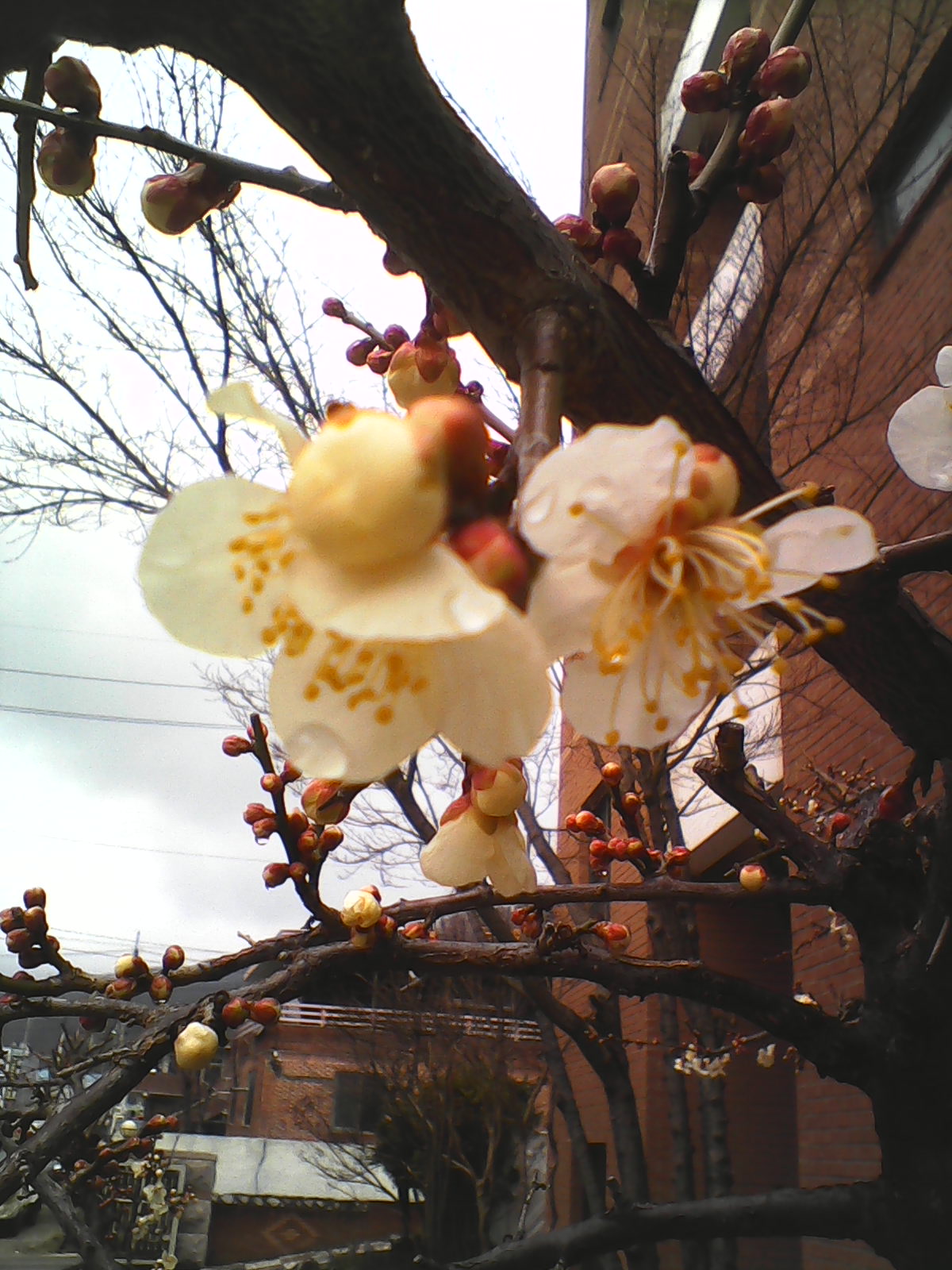 바오로둥지 너싱홈 이미지 4