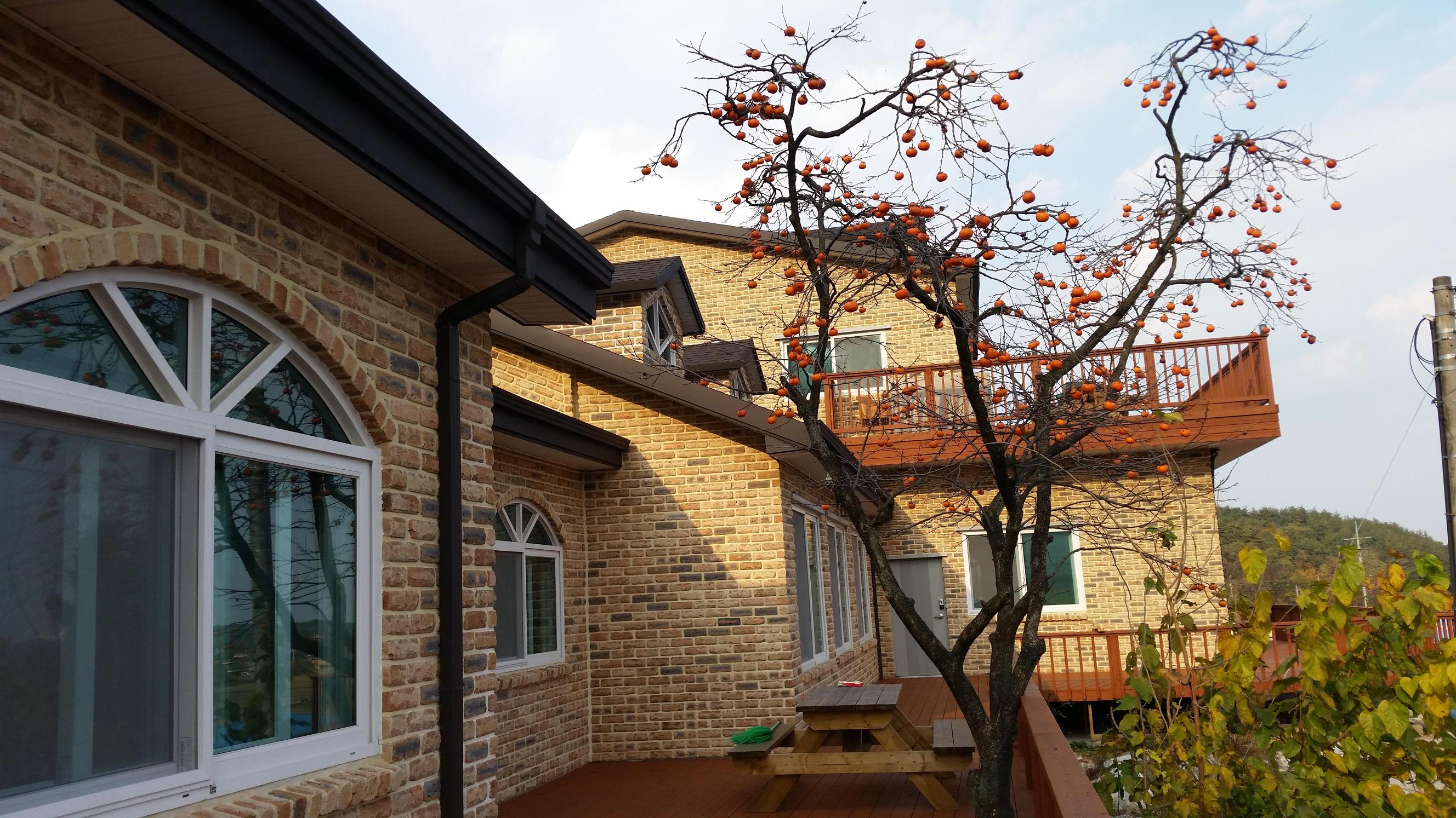 해누리요양원 이미지 4