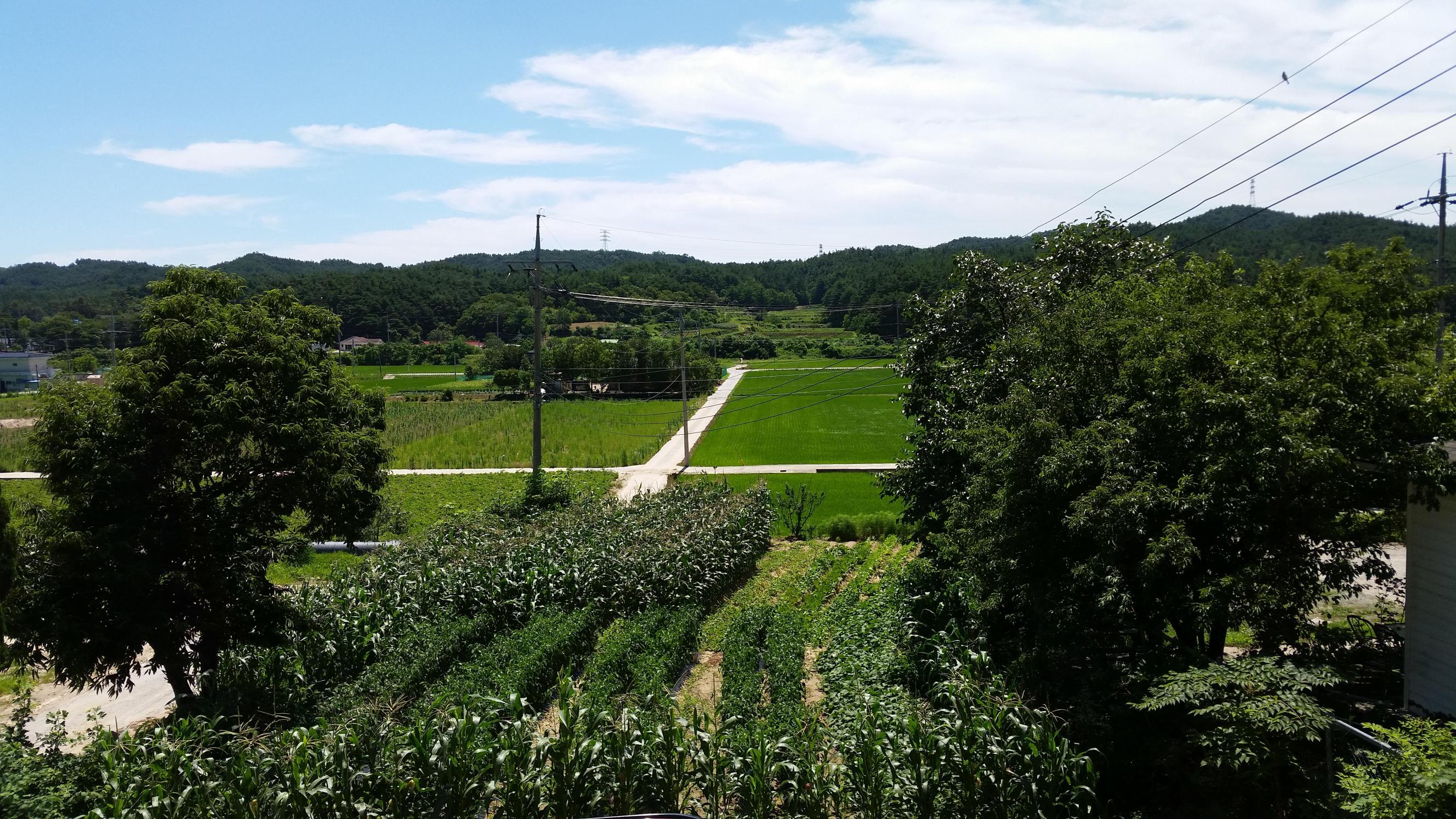 해누리요양원 이미지 3