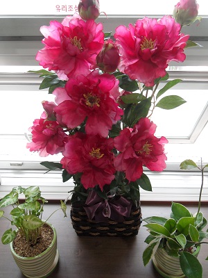 너싱홈해피나라 이미지 32