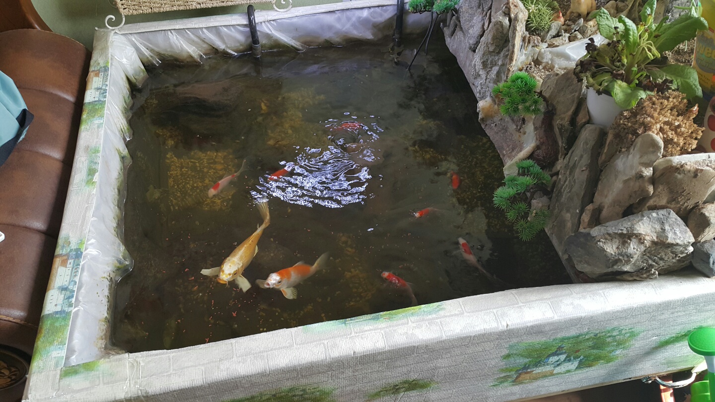 대한노인요양원