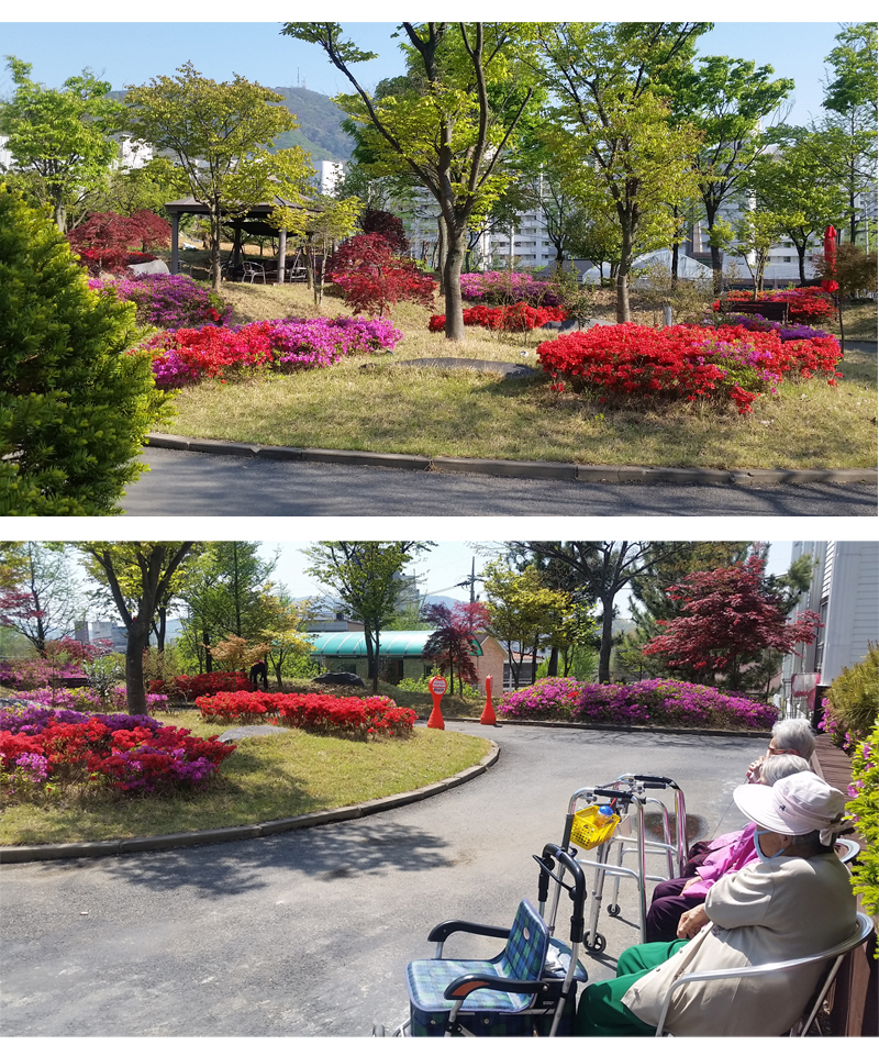 플래티늄 이미지 35