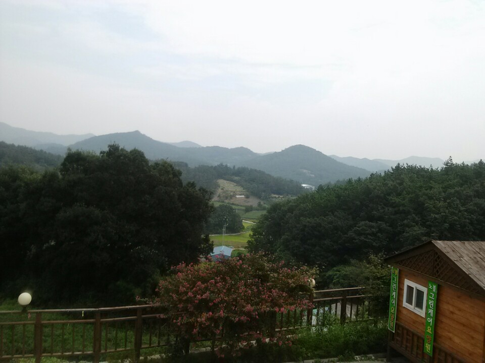 로얄그린케어요양원