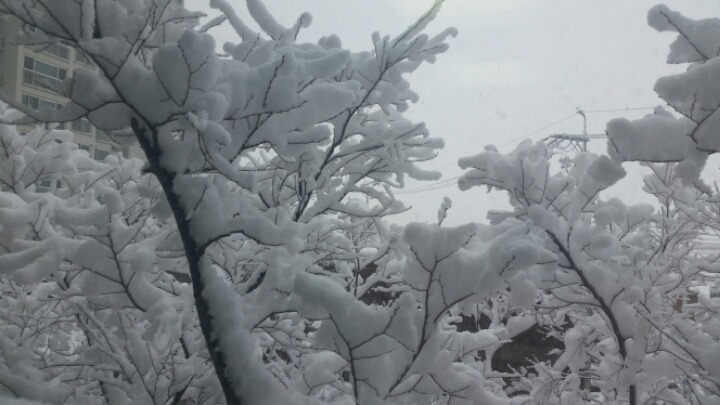 나이팅게일공동생활가정 이미지 3