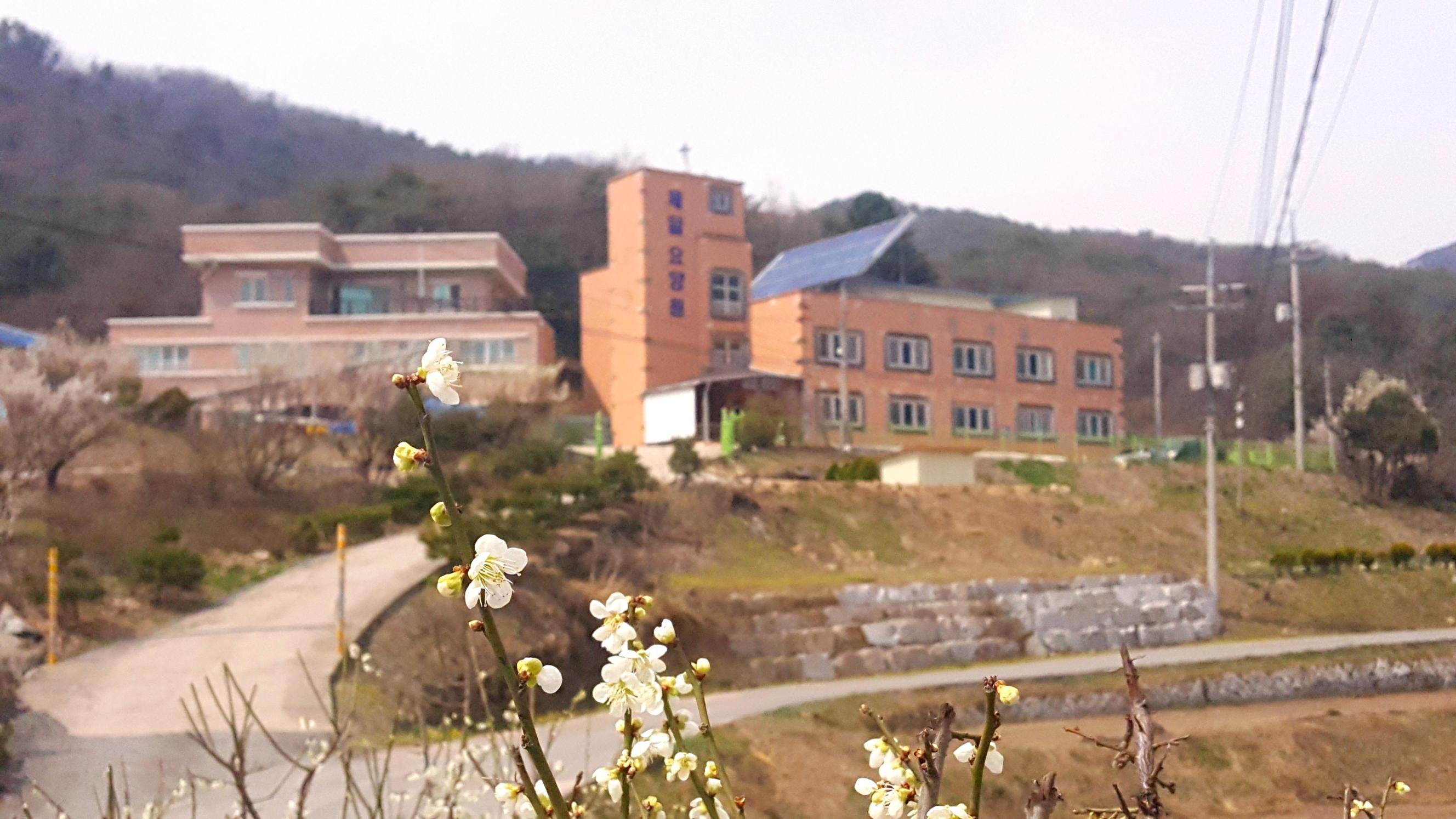 원주제일전문요양원 이미지 3