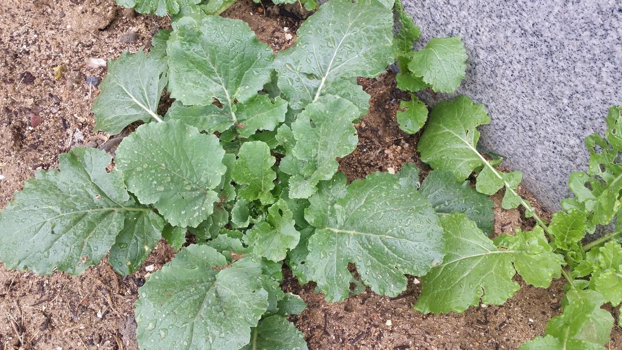 온새미로요양원 이미지 13