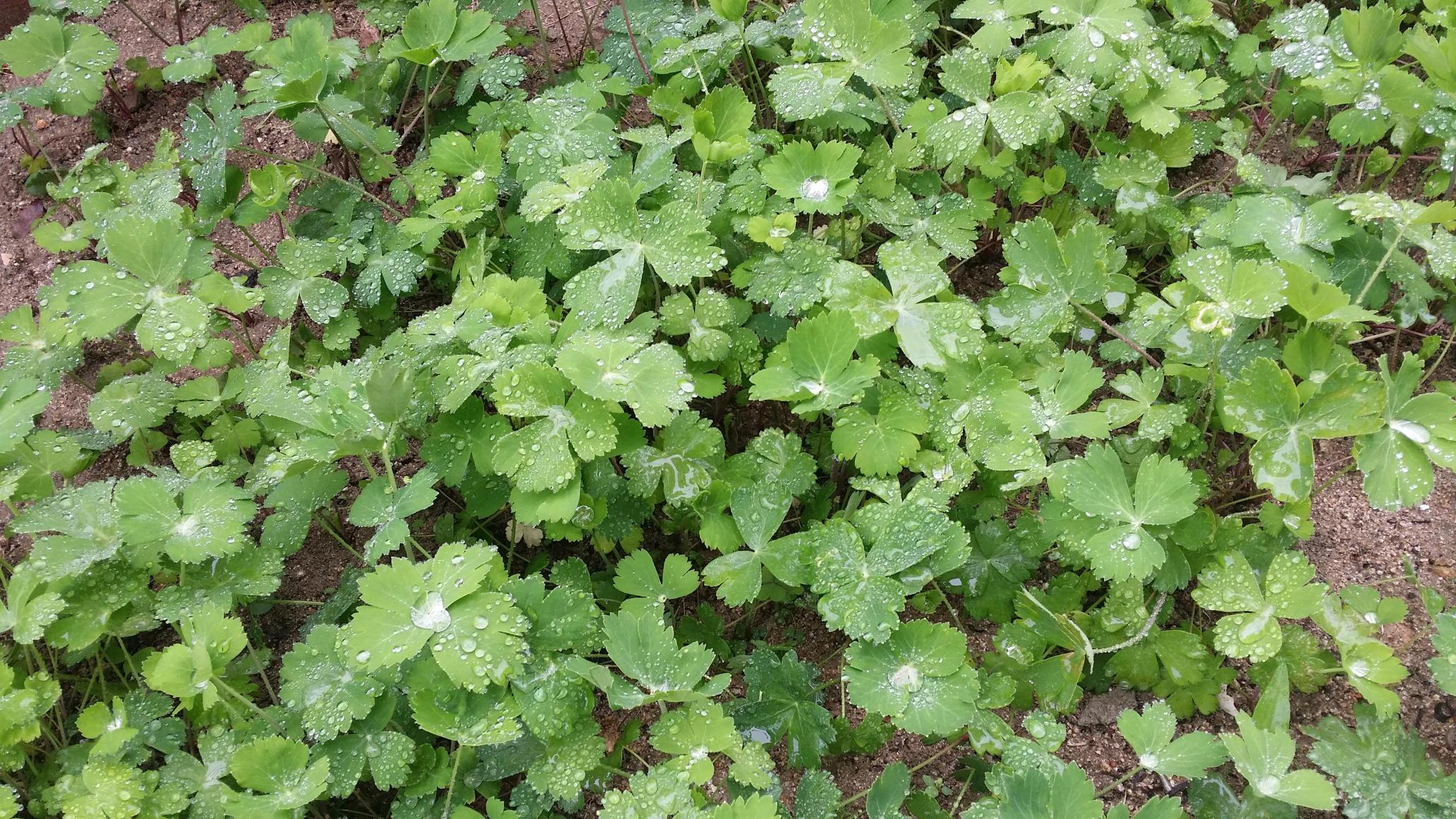 온새미로요양원 이미지 12