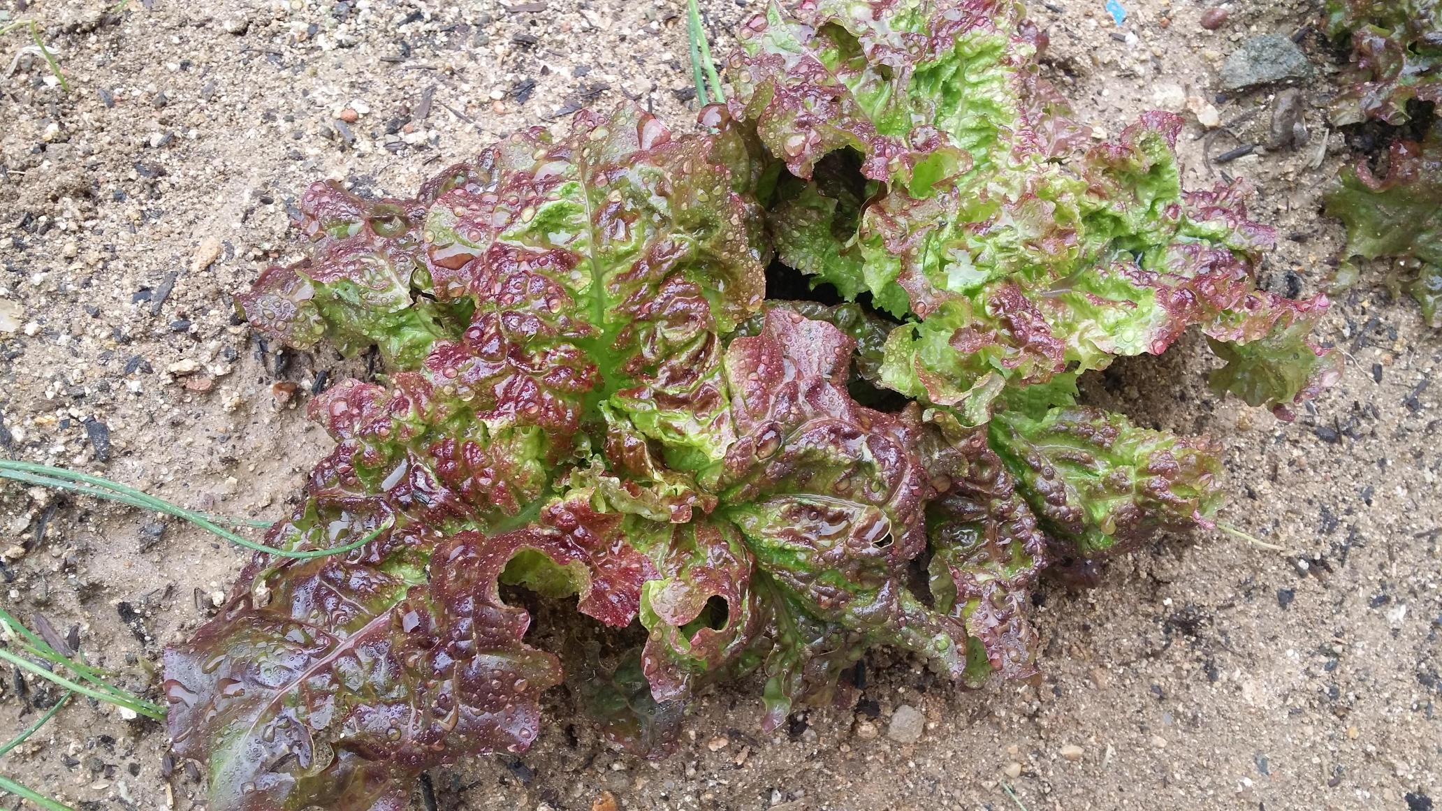 온새미로요양원 이미지 11