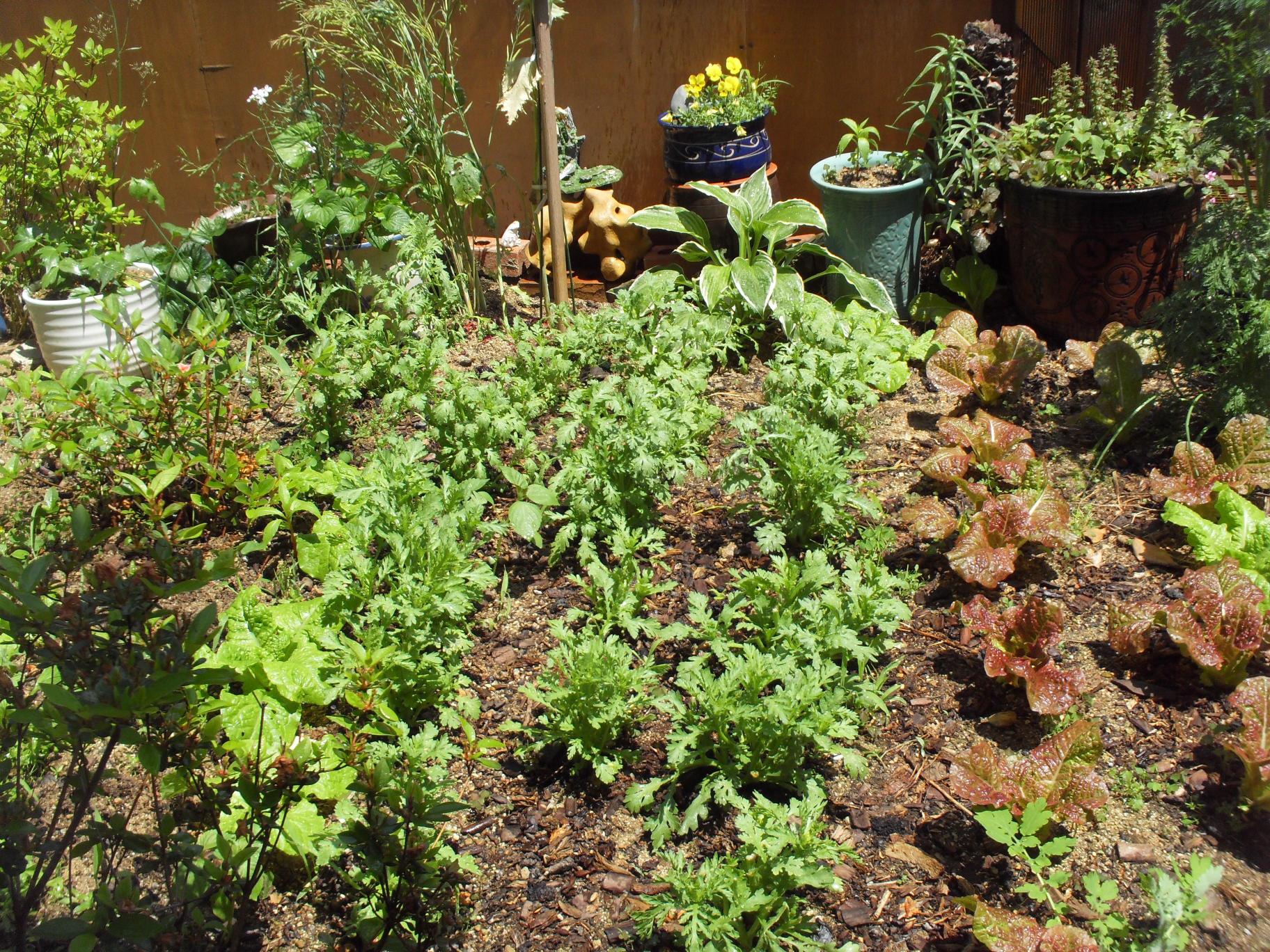 원성효그룹홈 이미지 3