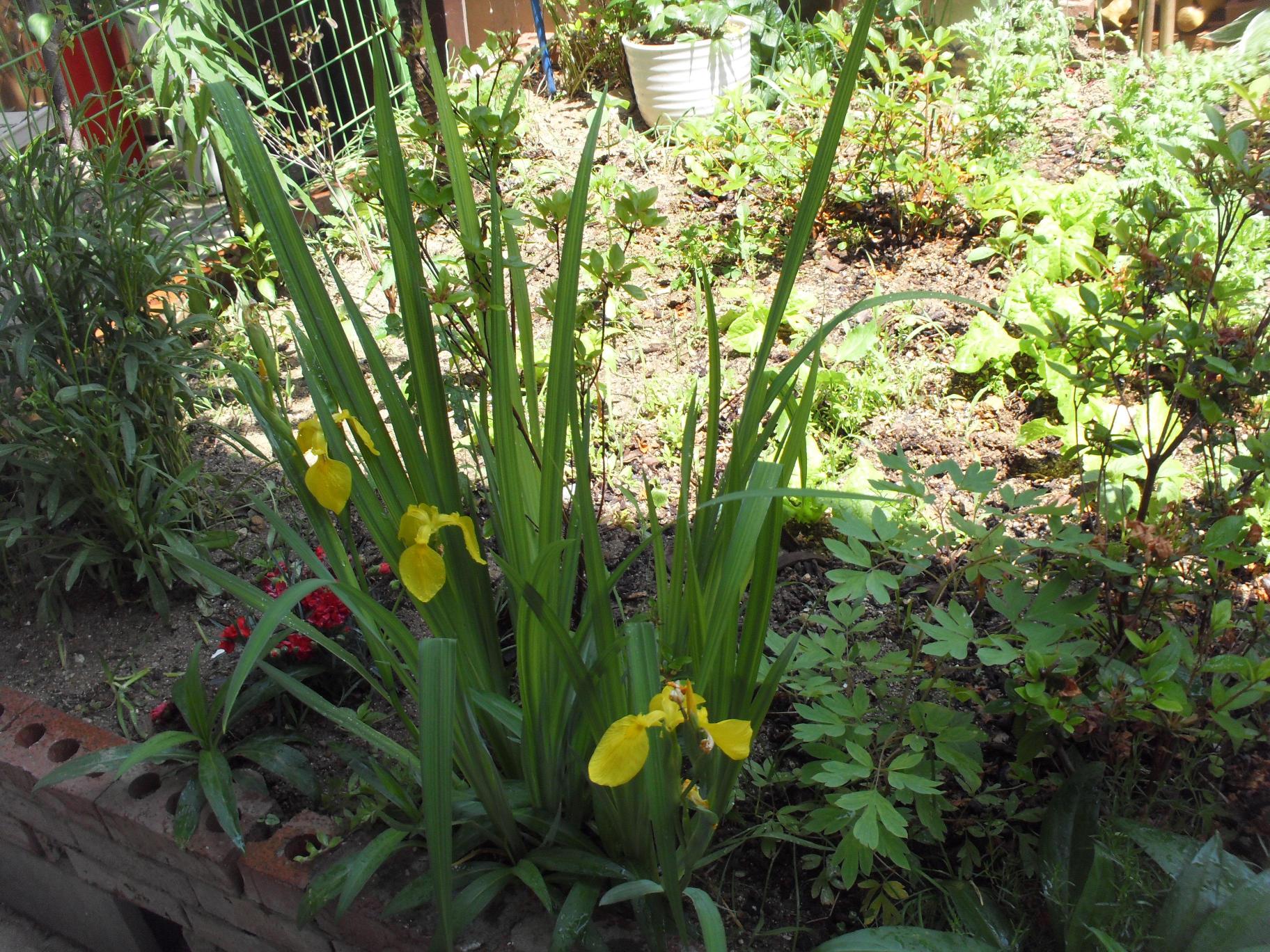 원성효그룹홈 이미지 2