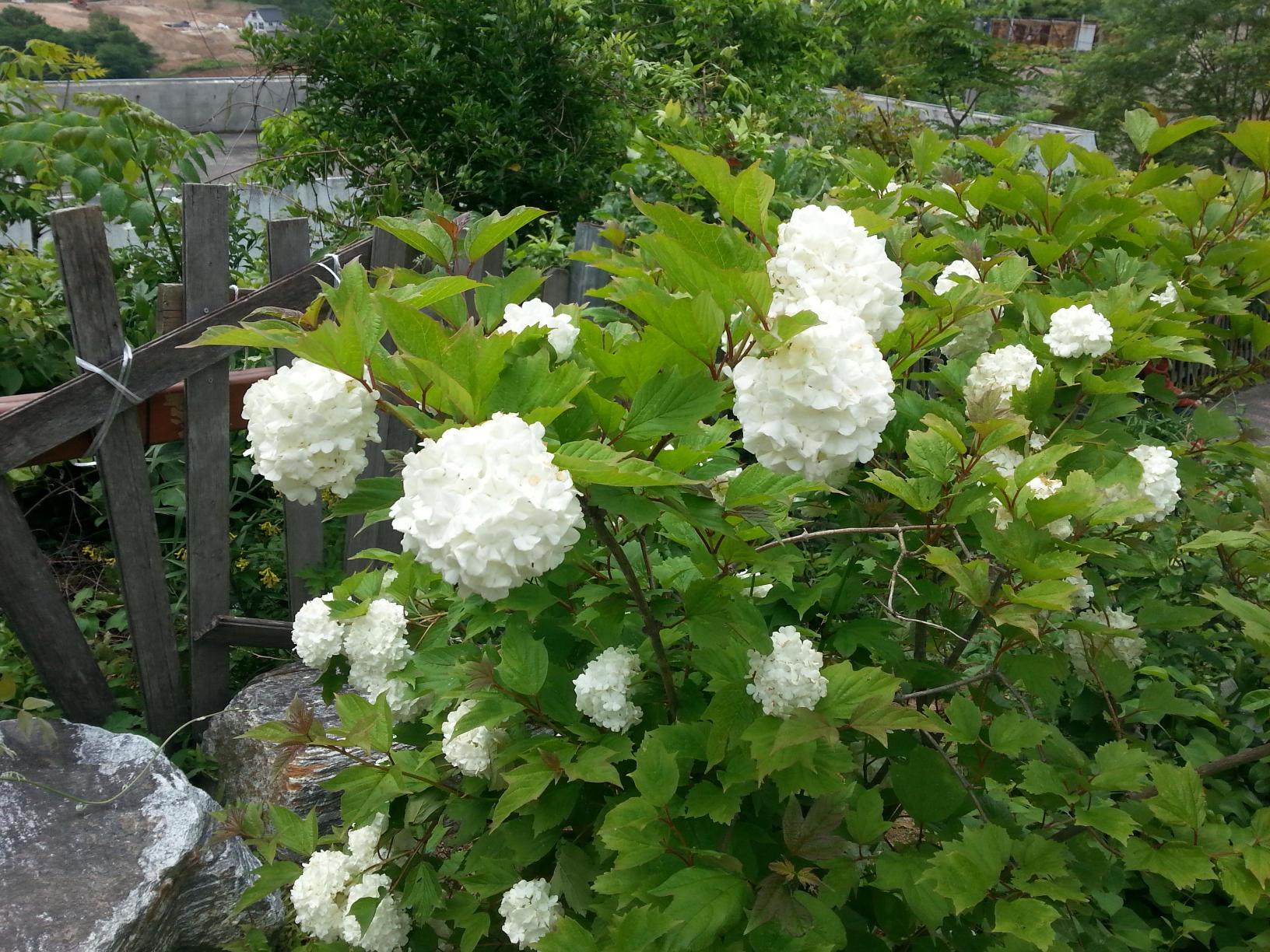 낮은둥지공동체 이미지 4