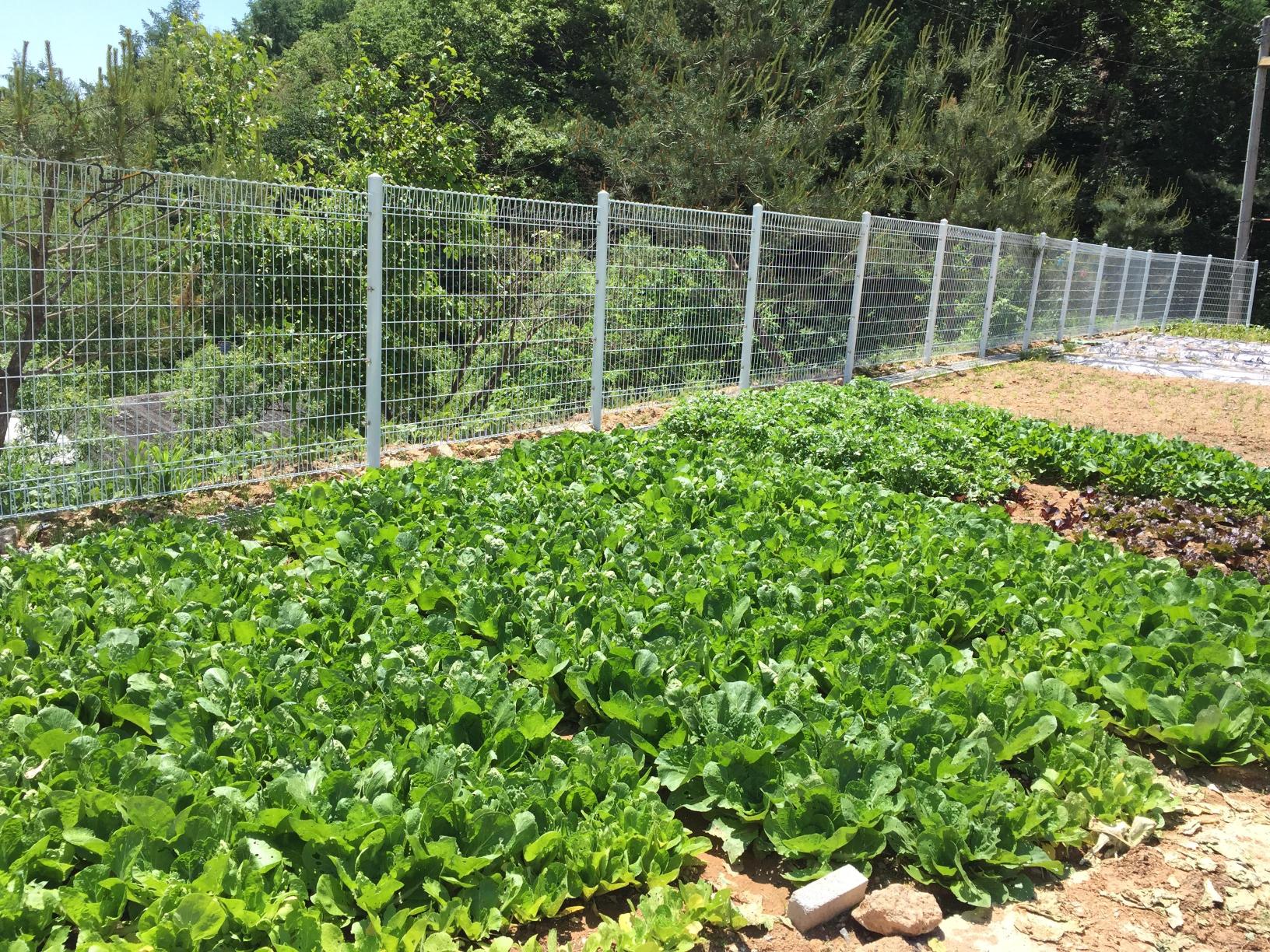 양평청계노인요양원 이미지 3