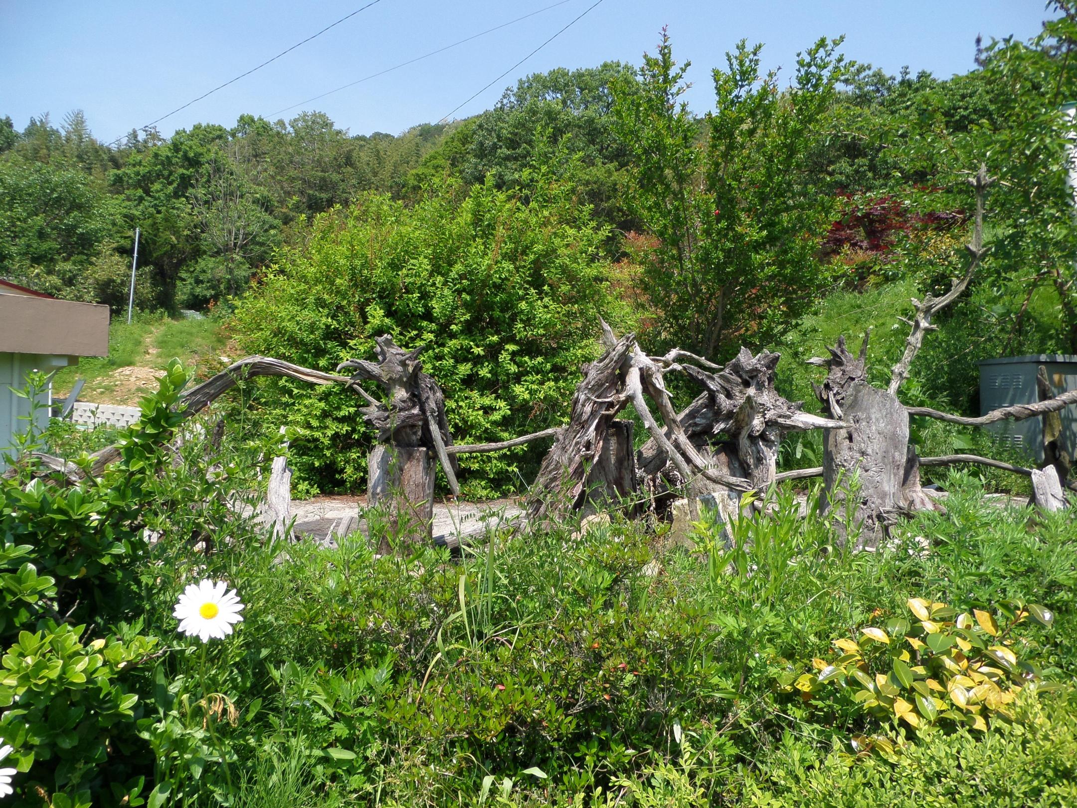 에덴의집 이미지 5