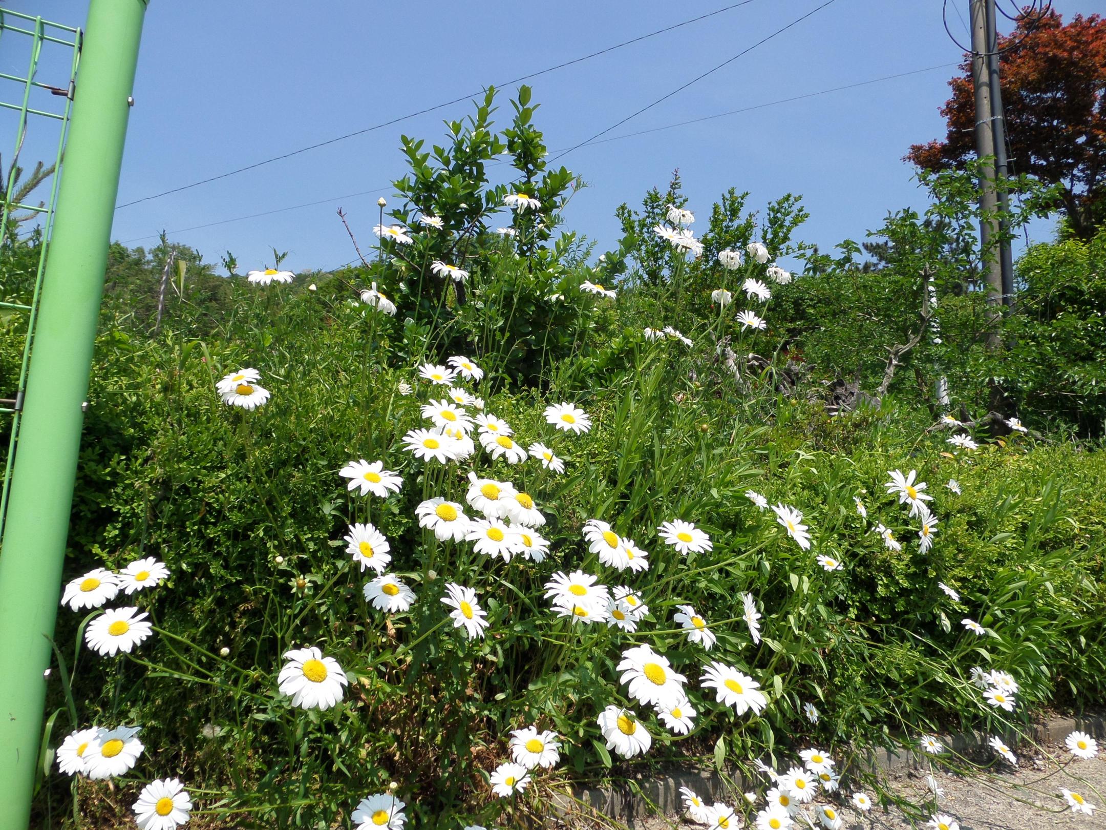 에덴의집 이미지 2