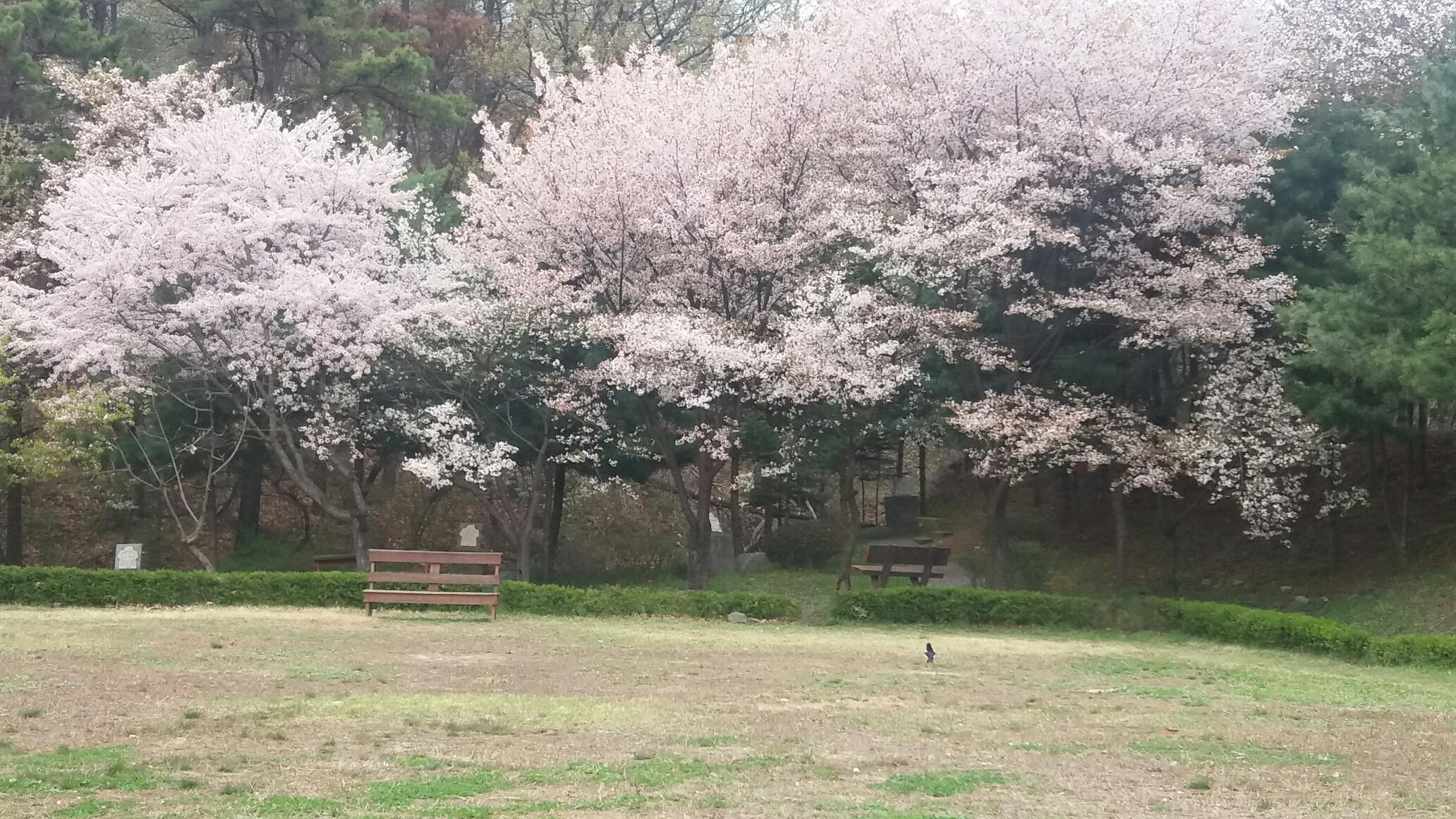 행복한 집 이미지 19