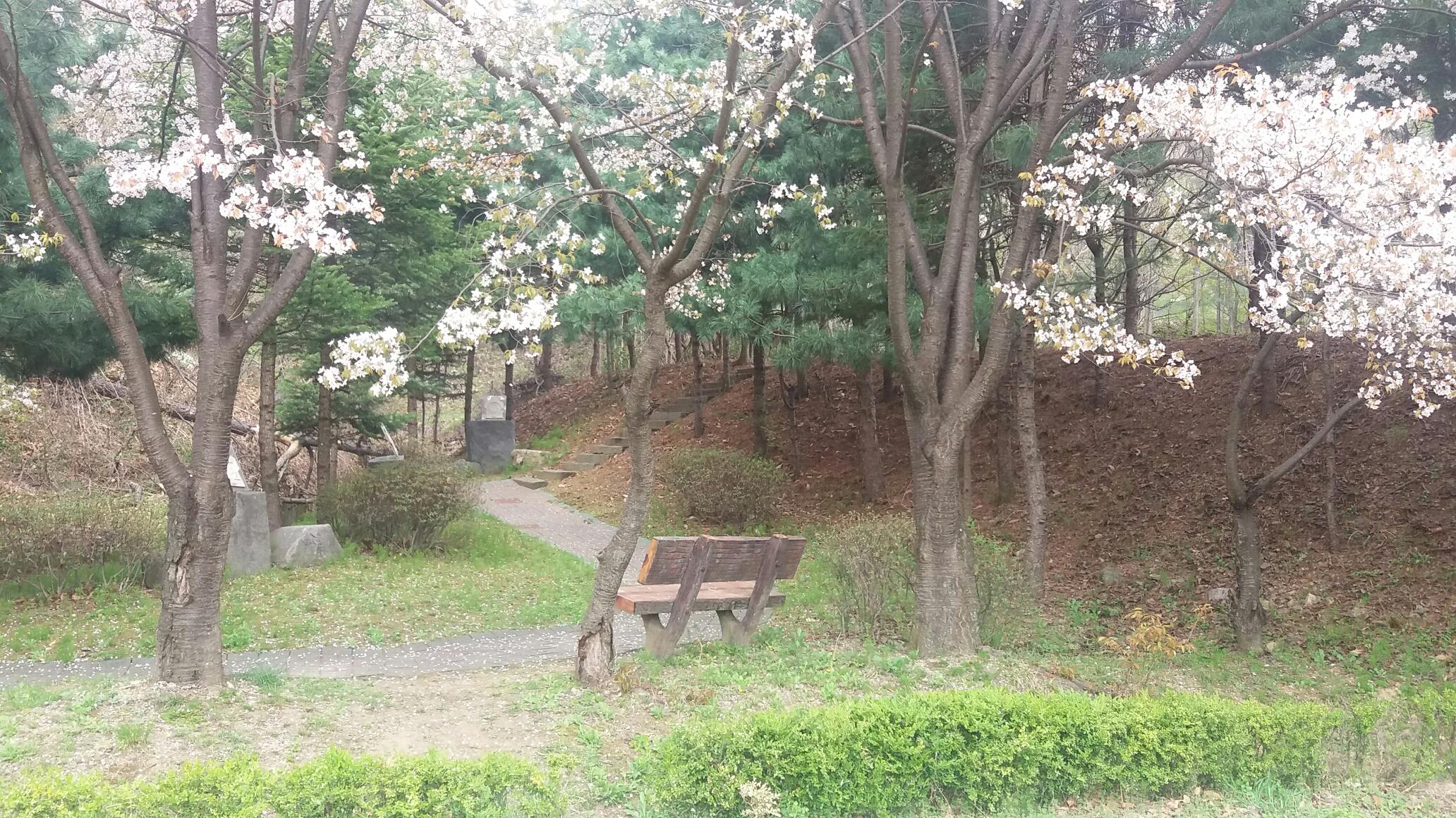 행복한 집 이미지 17