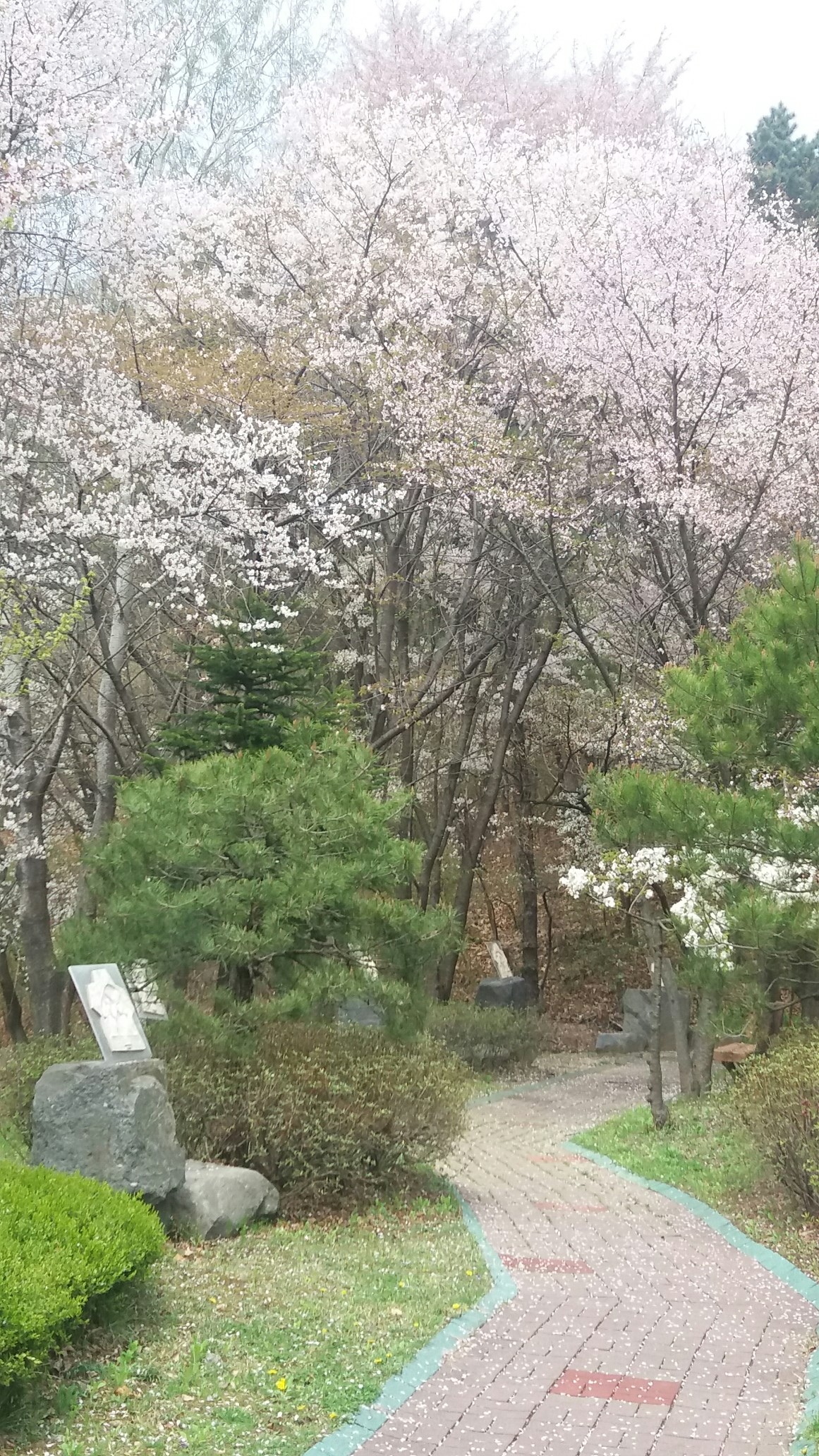 행복한 집 이미지 16