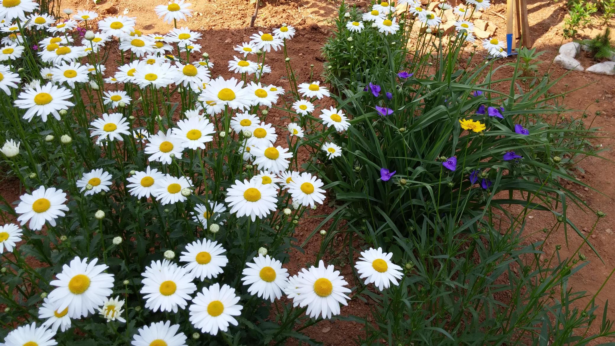 한우리요양원 이미지 10