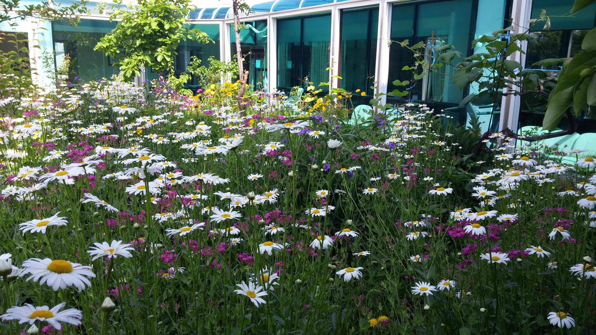 한우리요양원 이미지 9