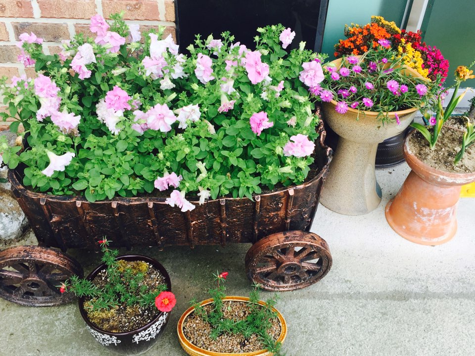 천사요양원 이미지 4