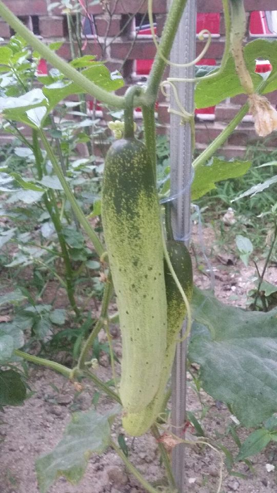 온새미로요양원 이미지 10