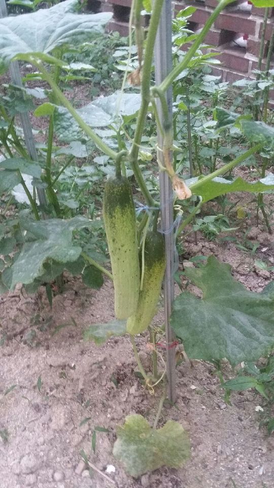 온새미로요양원 이미지 9