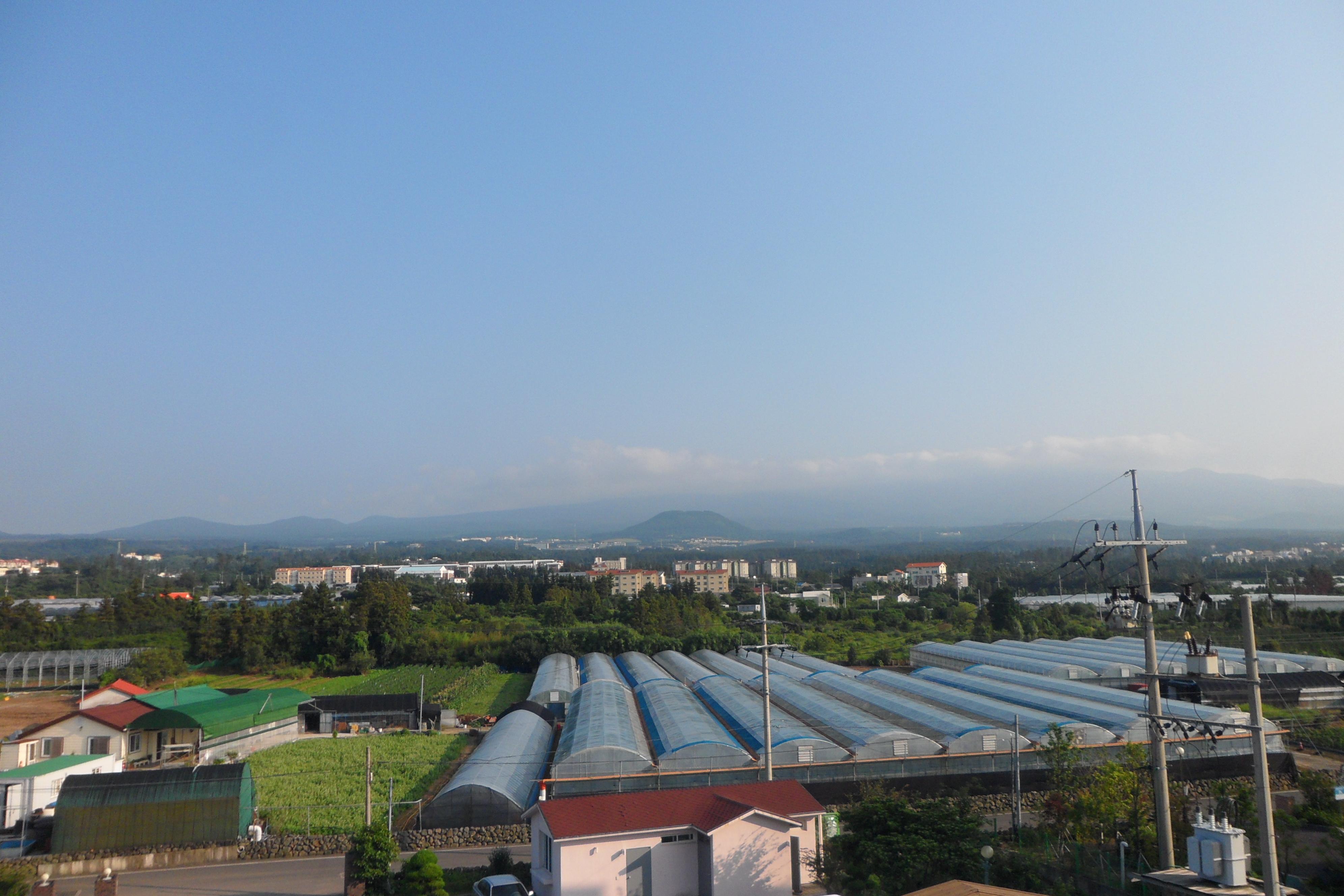 제주태고원 이미지 7