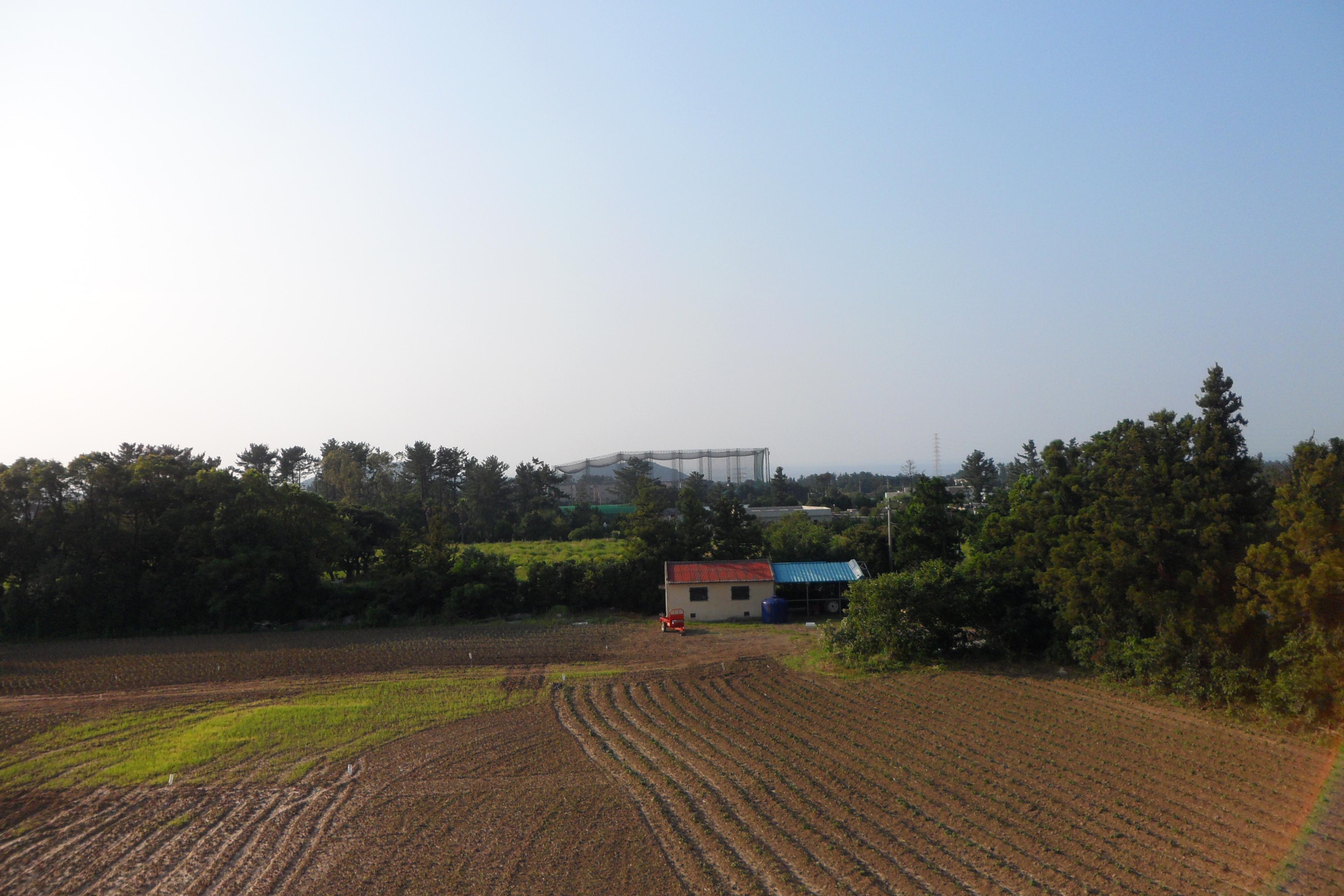 제주태고원 이미지 6