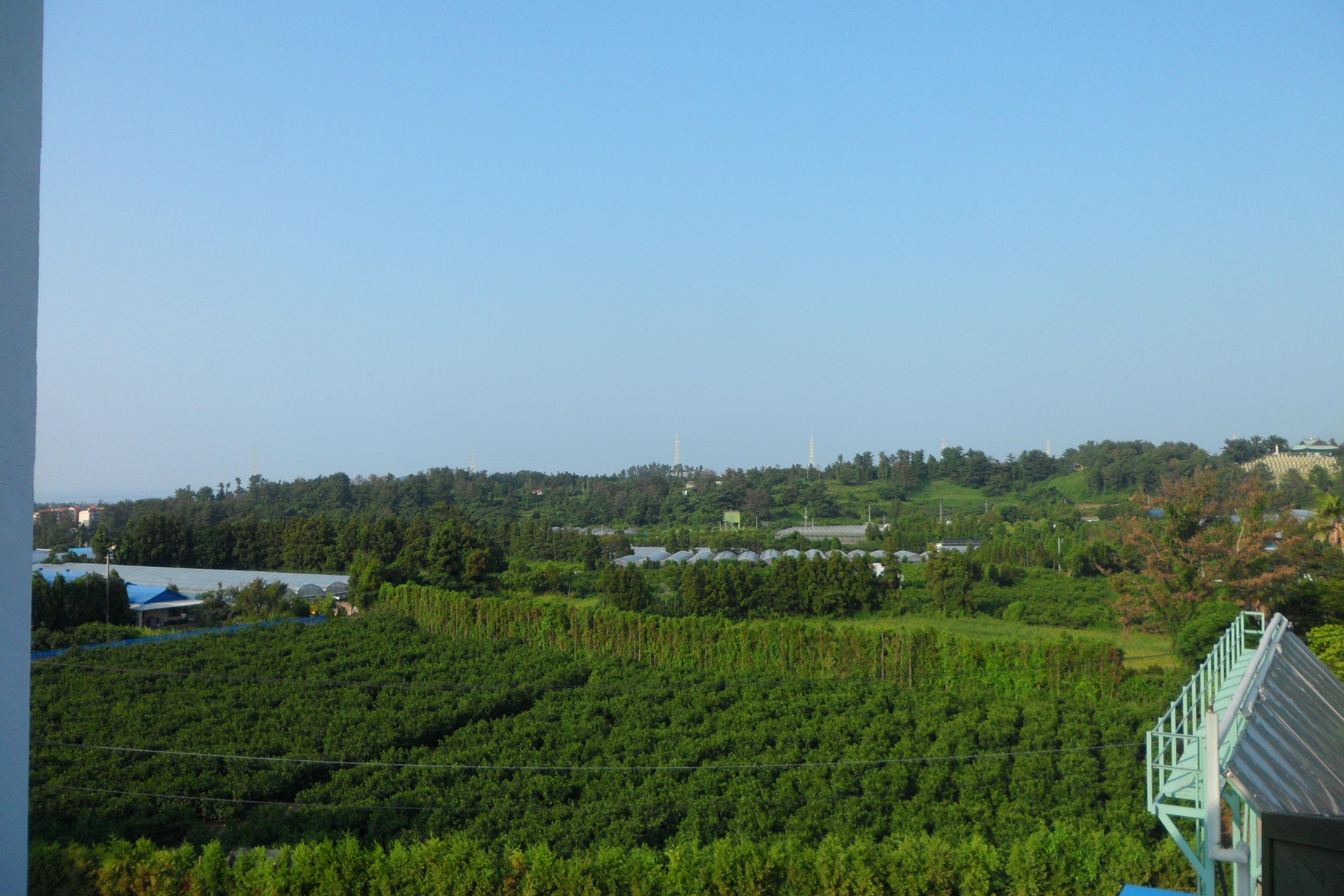 제주태고원 이미지 5