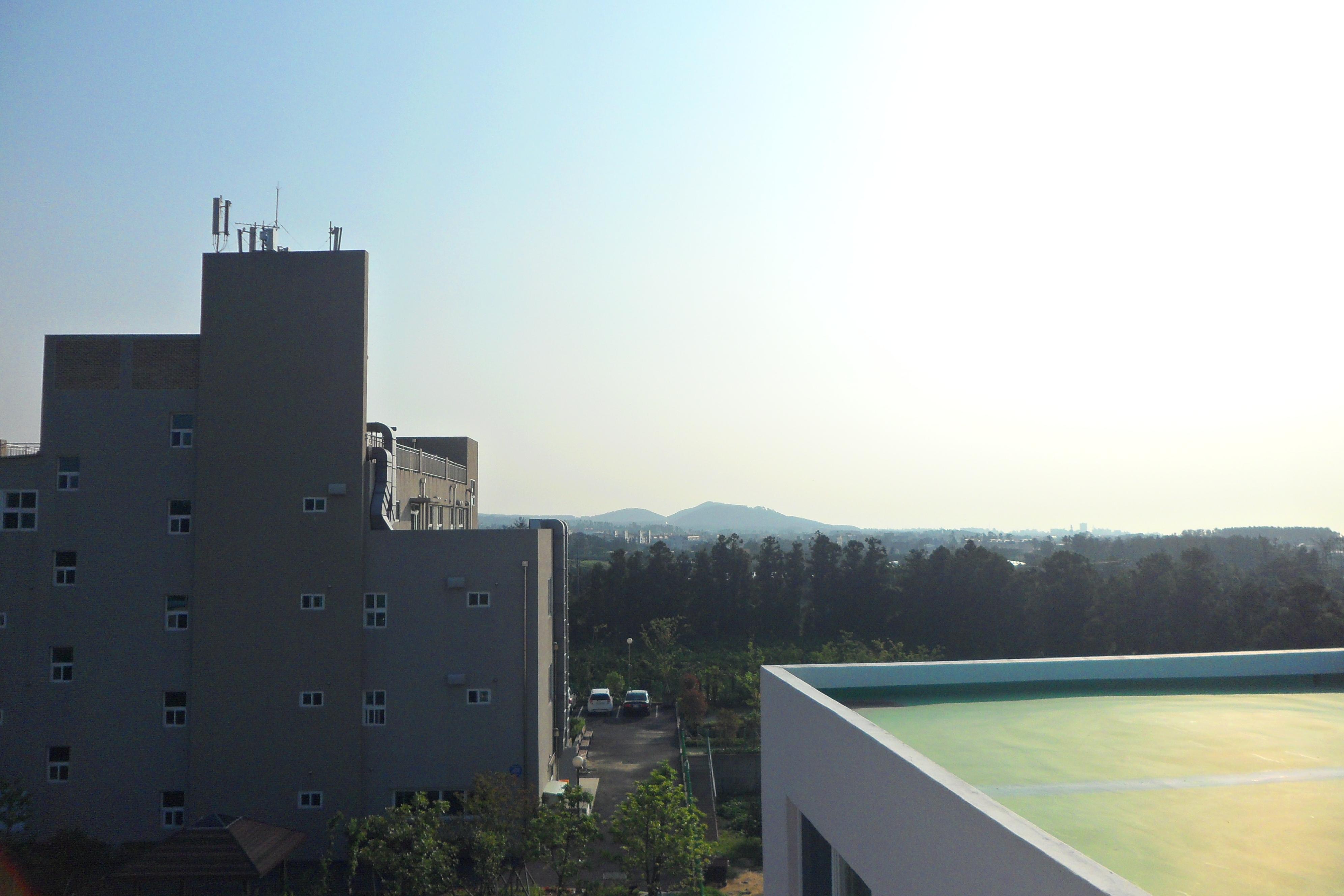 제주태고원 이미지 4