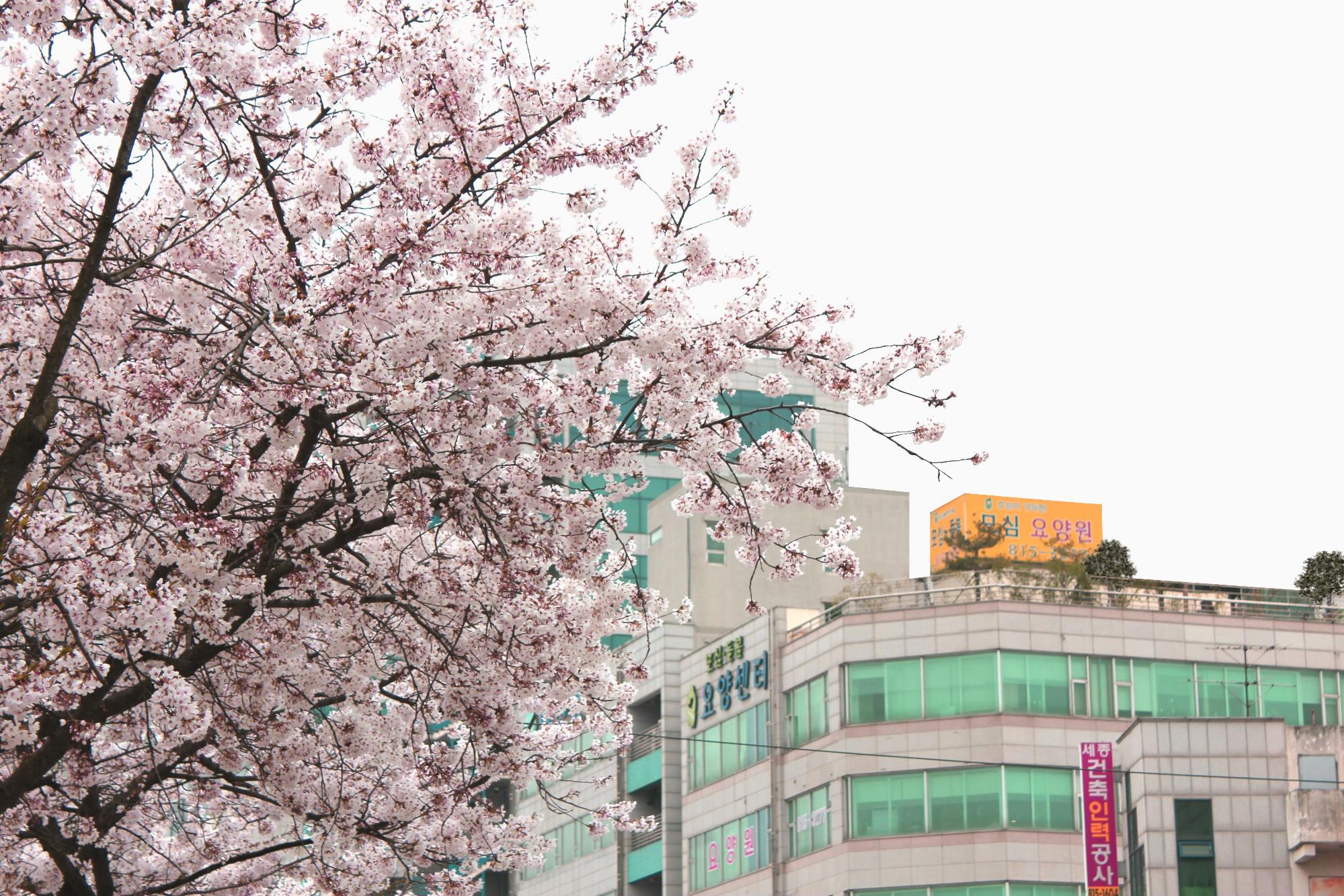 모심과돌봄노인요양시설 이미지 2