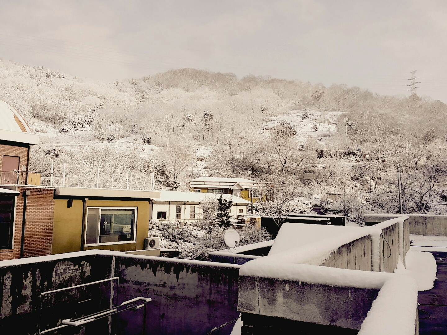 즐거운요양원 이미지 2