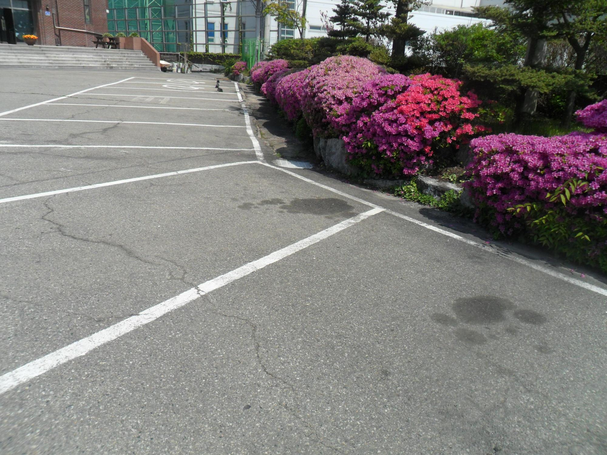 충주시니어빌리지 이미지 5