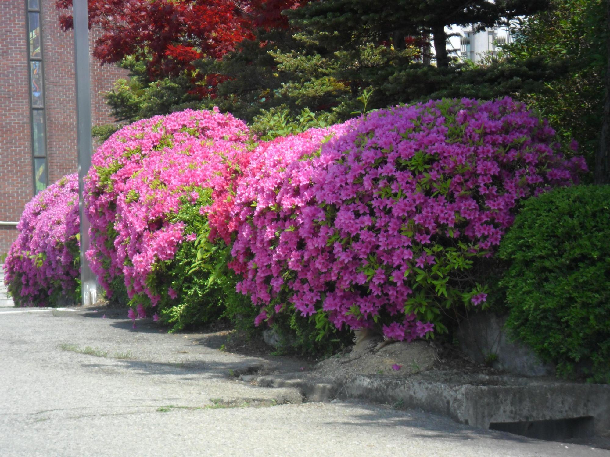 충주시니어빌리지 이미지 4