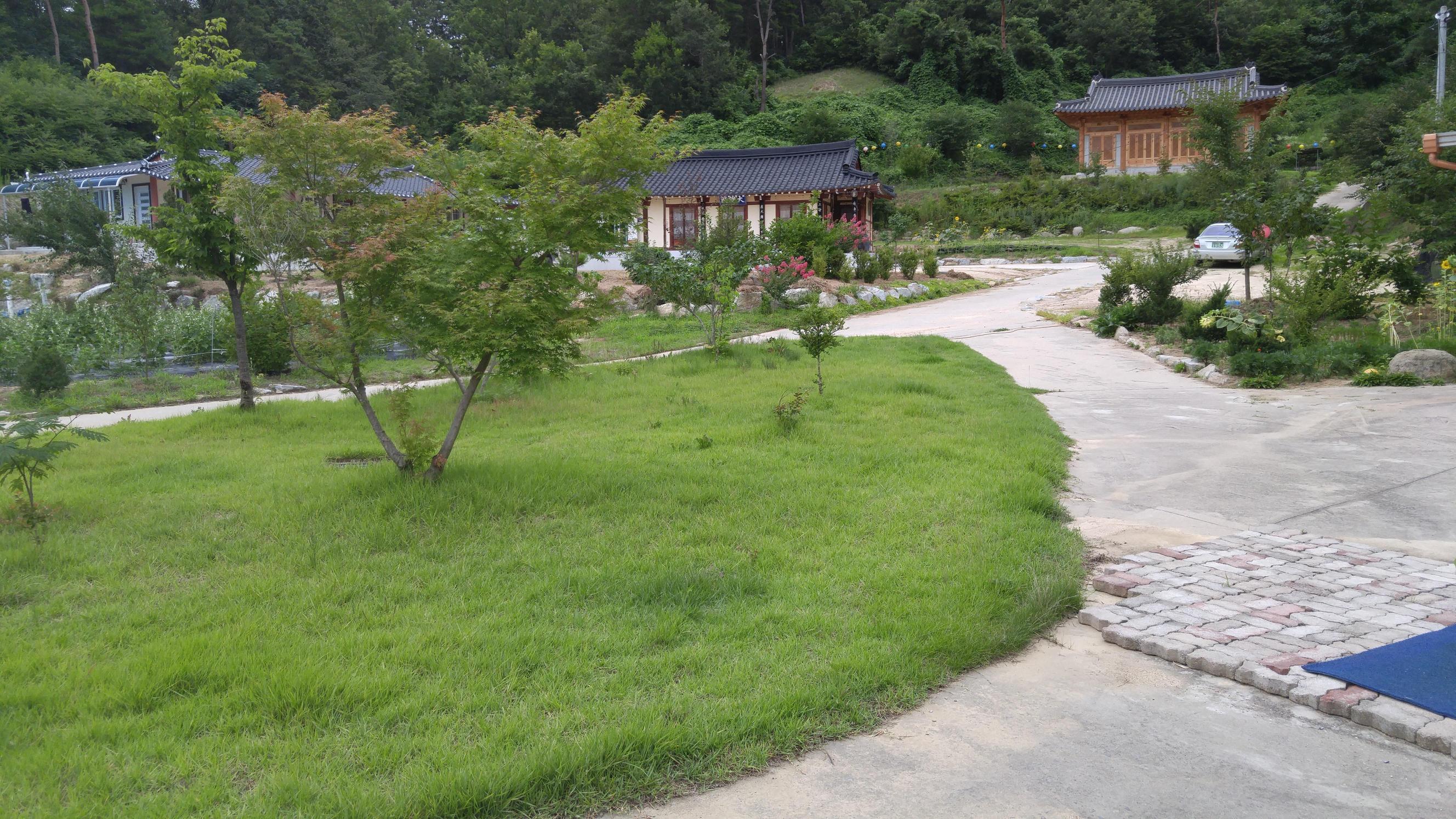 청룡사연꽃마을요양원