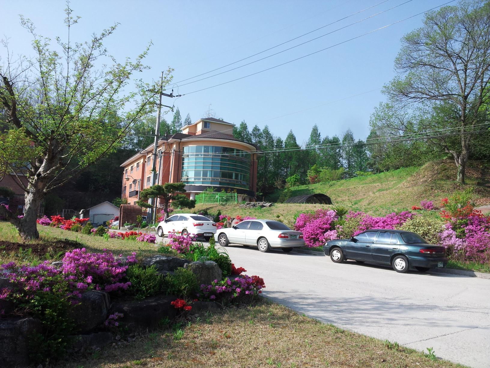 이당원 이미지 8