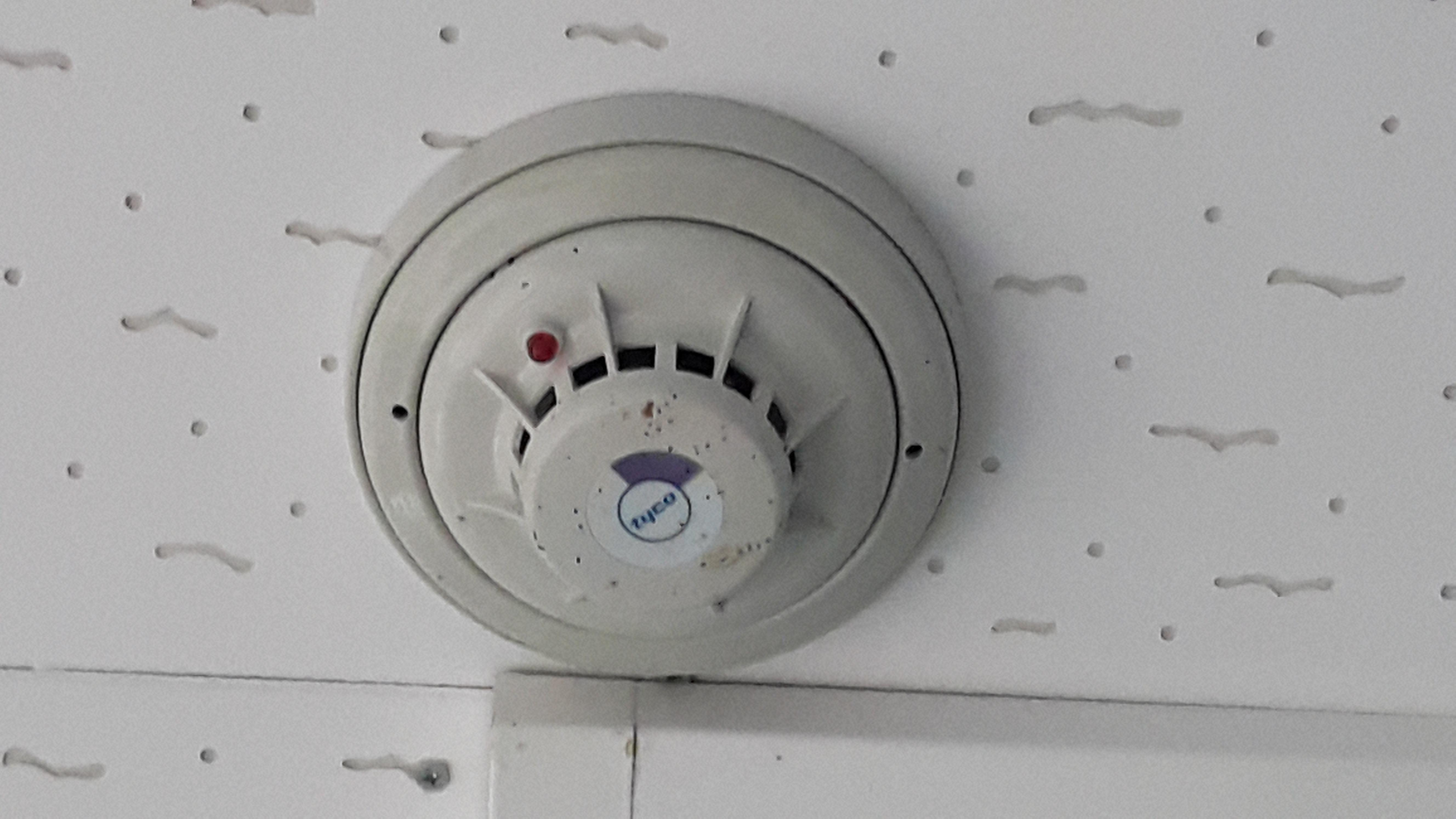 이당원 이미지 28