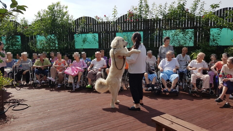 예사랑노인전문요양원 이미지 6