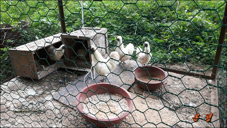 온정노인요양원 이미지 17