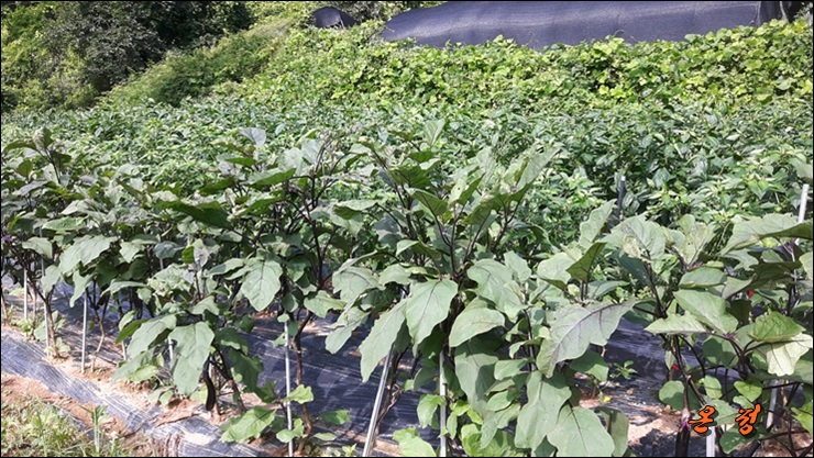 온정노인요양원 이미지 16